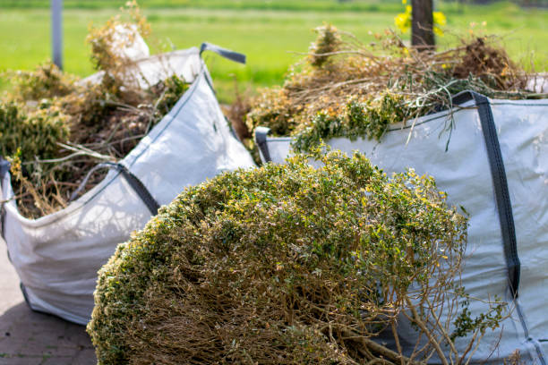 Best Trash Removal Near Me  in Lebanon, MO