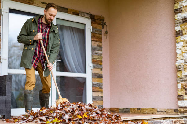 Best Electronics Removal Services  in Lebanon, MO